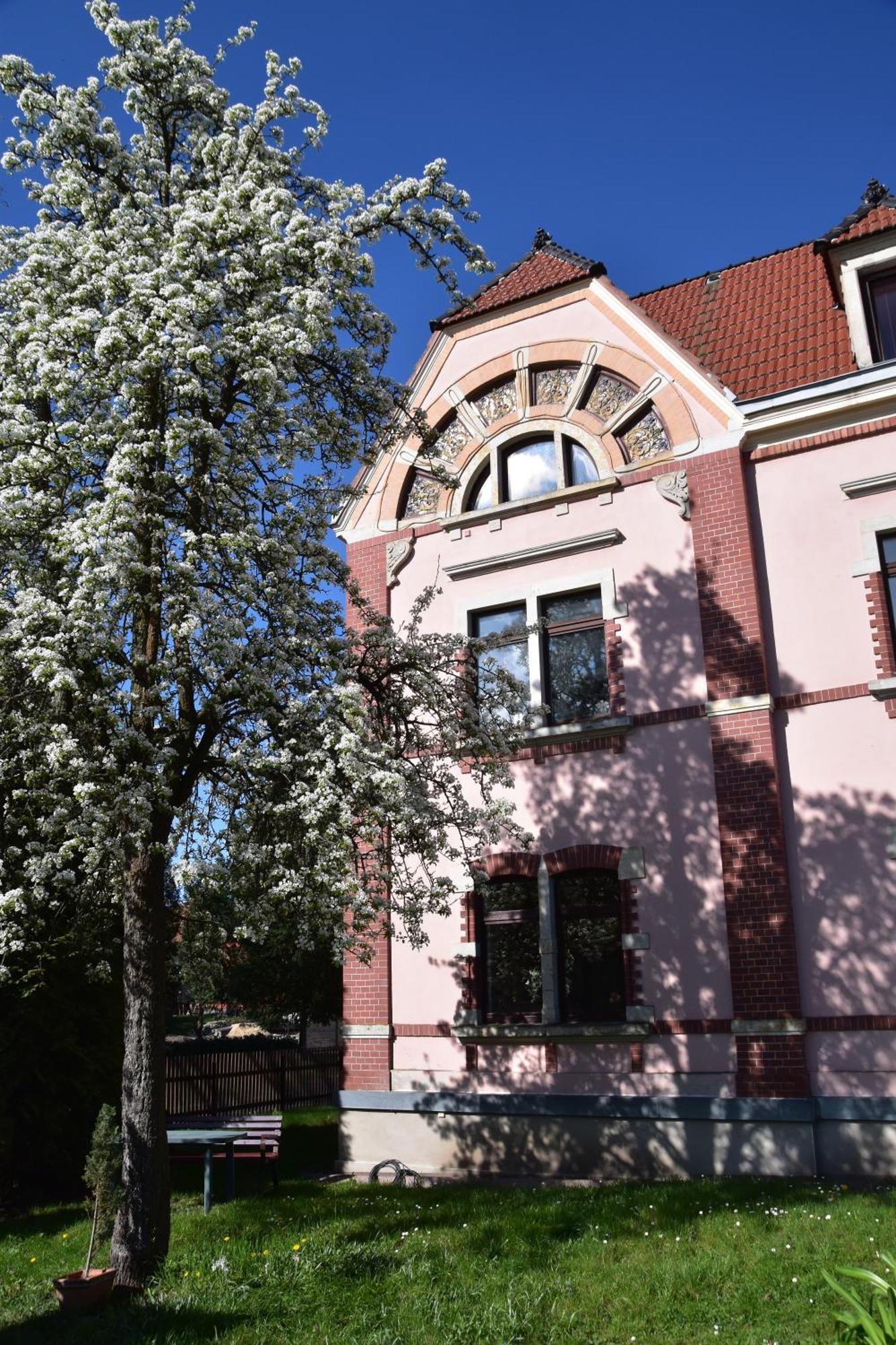 Ferienwohnung Und Pension "Zur Aue" Konigsbruck Dış mekan fotoğraf