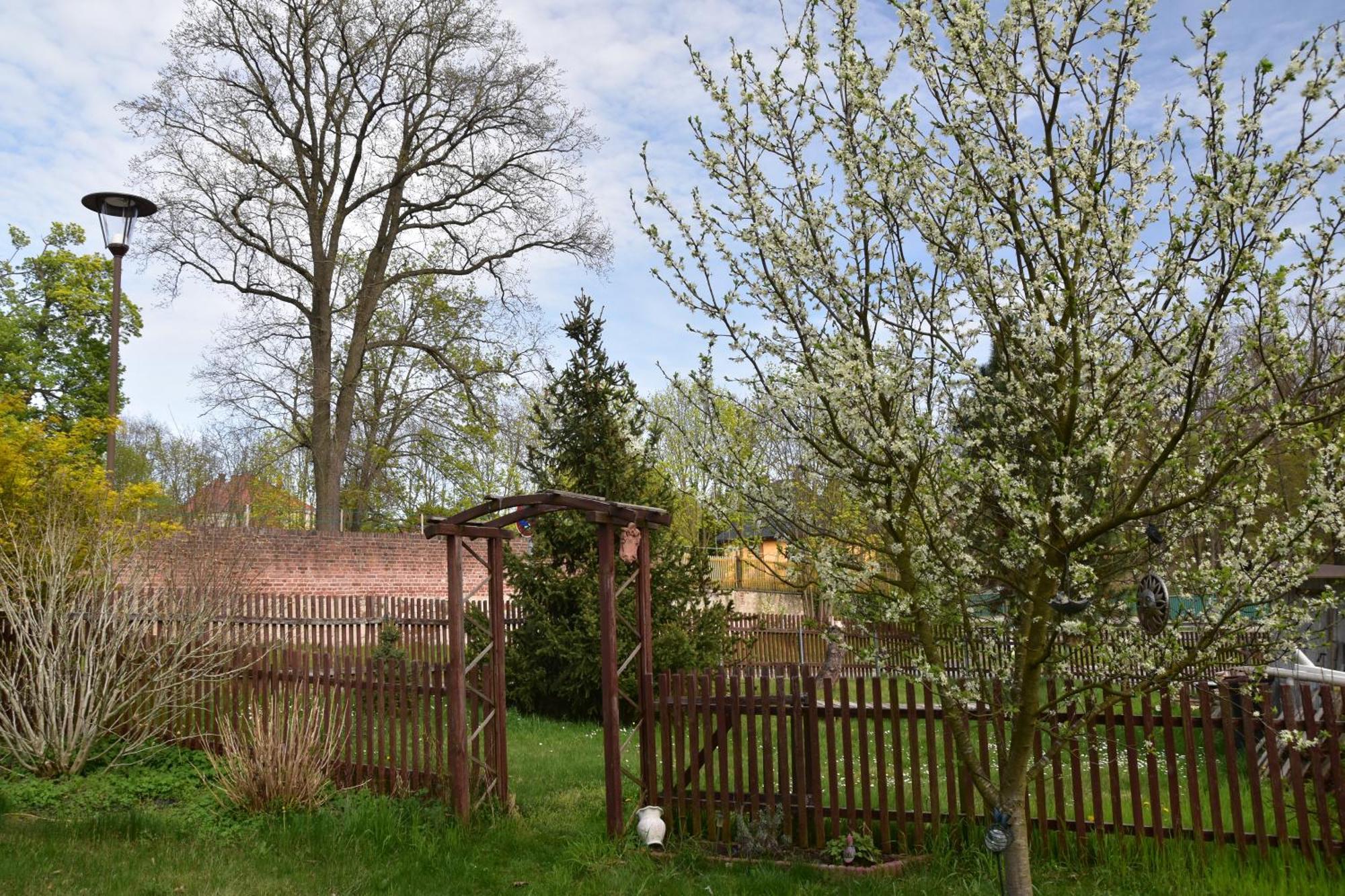 Ferienwohnung Und Pension "Zur Aue" Konigsbruck Dış mekan fotoğraf